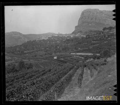 Vignoble des Hautes Collines (Saint-Jeannet)